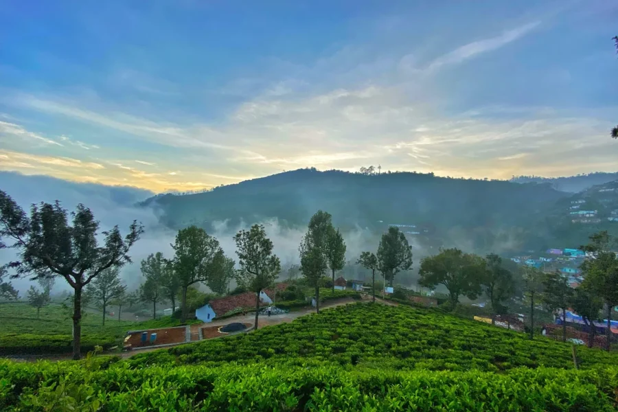 Beauty of Bengaluru-ooty